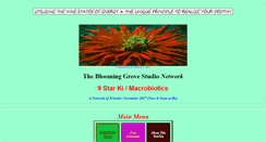 Desktop Screenshot of 9starki.com